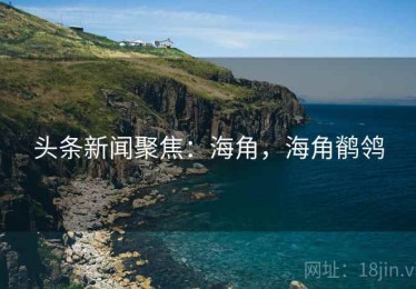 头条新闻聚焦：海角，海角鹡鸰