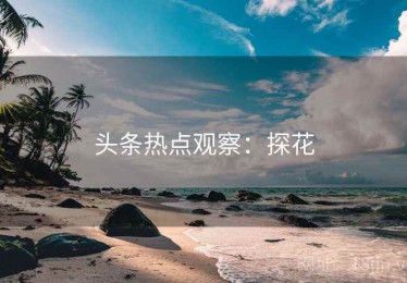 头条热点观察：探花