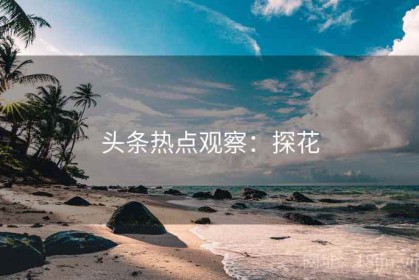 头条热点观察：探花