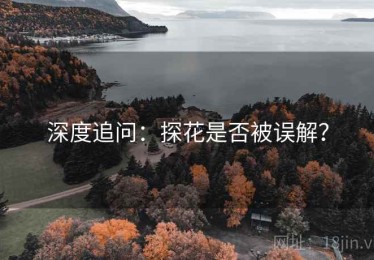 深度追问：探花是否被误解？