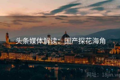 头条媒体解读：国产探花海角