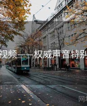 探花视频——权威声音特别报道