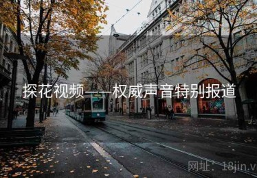 探花视频——权威声音特别报道