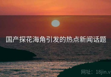 国产探花海角引发的热点新闻话题