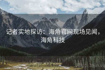 记者实地探访：海角官网现场见闻，海角科技