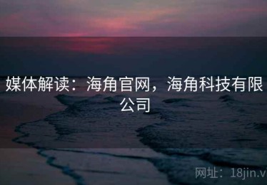 媒体解读：海角官网，海角科技有限公司