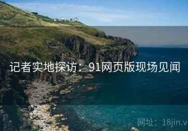 记者实地探访：91网页版现场见闻