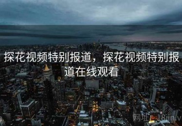 探花视频特别报道，探花视频特别报道在线观看