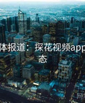 权威媒体报道：探花视频app最新动态
