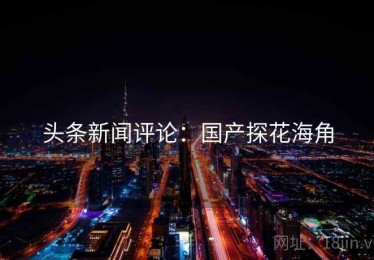 头条新闻评论：国产探花海角