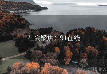 社会聚焦：91在线