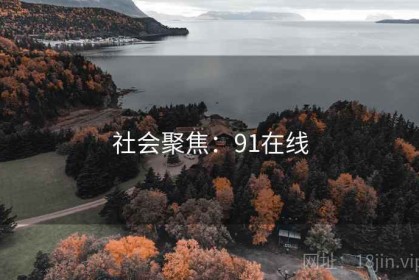 社会聚焦：91在线