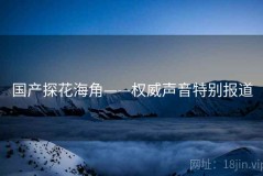 国产探花海角——权威声音特别报道