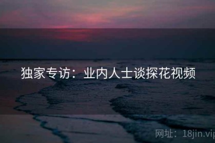 独家专访：业内人士谈探花视频