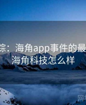 报道追踪：海角app事件的最新进展，海角科技怎么样