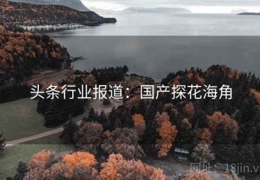 头条行业报道：国产探花海角
