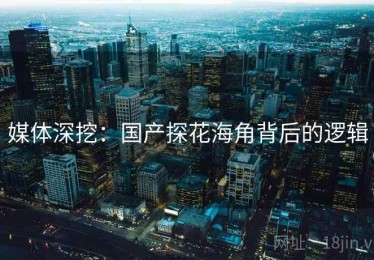 媒体深挖：国产探花海角背后的逻辑