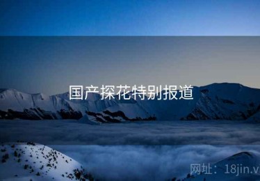 国产探花特别报道