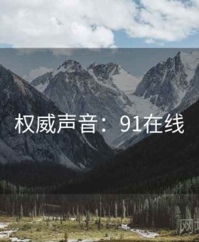 权威声音：91在线