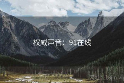 权威声音：91在线