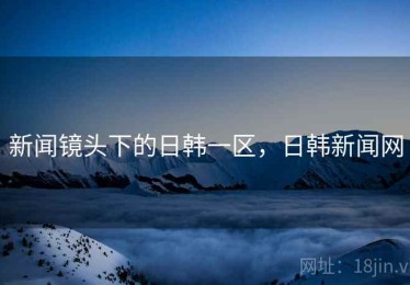 新闻镜头下的日韩一区，日韩新闻网