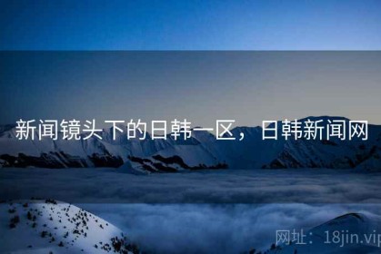 新闻镜头下的日韩一区，日韩新闻网