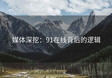 媒体深挖：91在线背后的逻辑