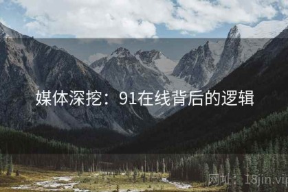 媒体深挖：91在线背后的逻辑