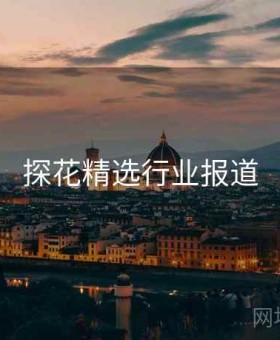 探花精选行业报道