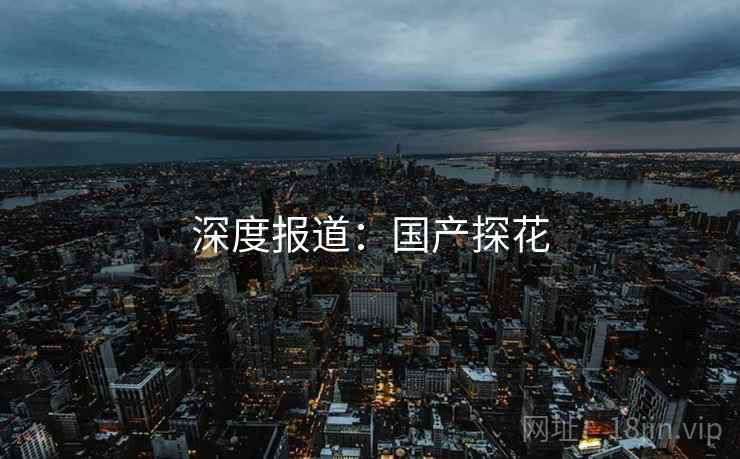 深度报道：国产探花