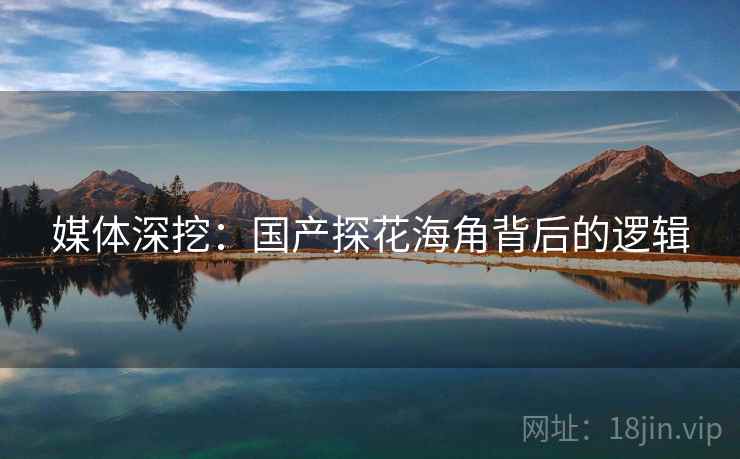 媒体深挖：国产探花海角背后的逻辑