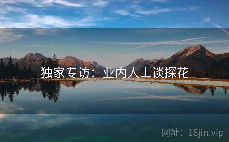独家专访：业内人士谈探花