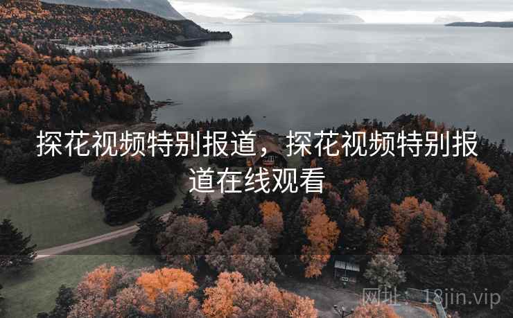 探花视频特别报道，探花视频特别报道在线观看