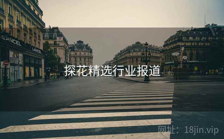 探花精选行业报道
