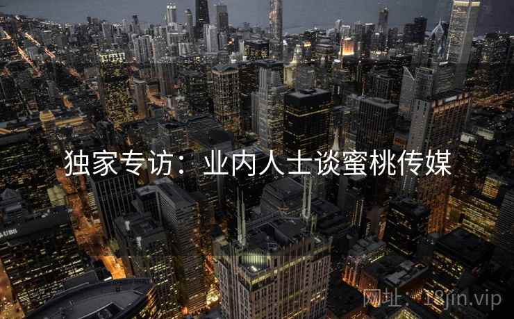 独家专访：业内人士谈蜜桃传媒