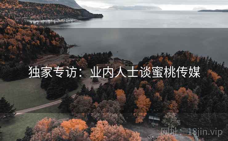 独家专访：业内人士谈蜜桃传媒
