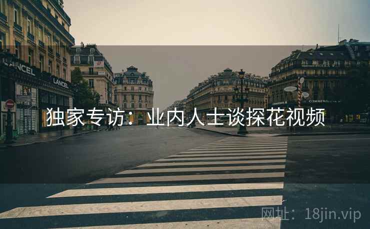 独家专访：业内人士谈探花视频