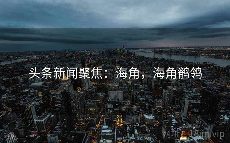 头条新闻聚焦：海角，海角鹡鸰
