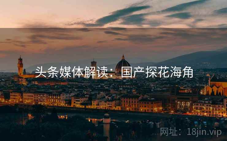 头条媒体解读：国产探花海角