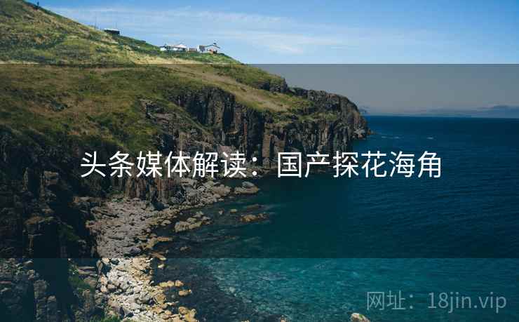 头条媒体解读：国产探花海角
