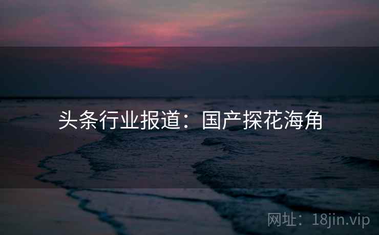 头条行业报道：国产探花海角