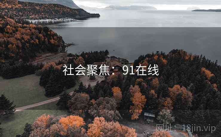 社会聚焦：91在线
